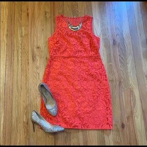 J Crew Collection NWT Red Lace Sheath Dress Sz 12